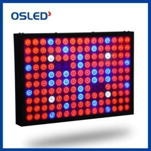 Square Full Spectrum Plant Grow Light 120W 240W LED Grow Lights Aluminum Material LED Chips Grow Lamps for Indoor Plants Veg Flower Greenhouse