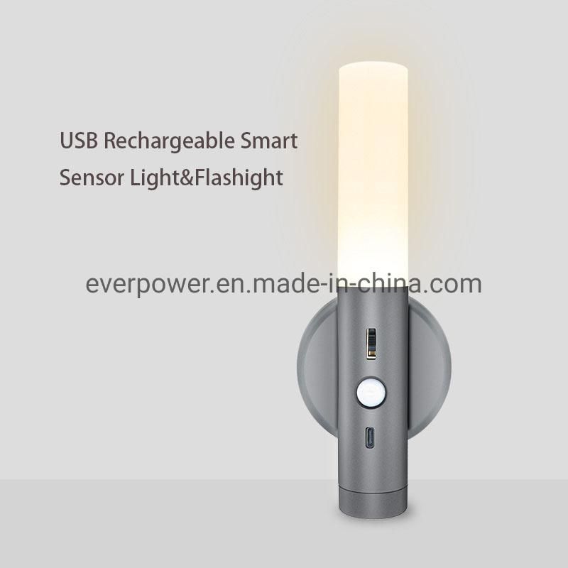 USB Rechargeable Motion Sensor LED Night Light with Magnets (SR030)