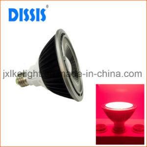 COB LED Grow Light Red Light for Green House