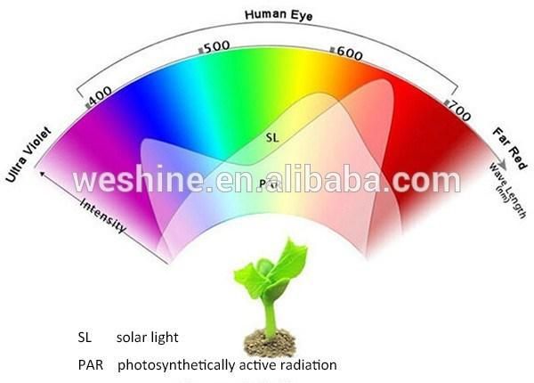 Gip 12W LED Plant Grow Light for Hydroponics Greenhouse