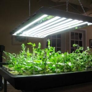 Horticulture 1000W LED Grow Light 1000 Watt 600W 640W 700W 720W 800W Indoor Plants LED Grow Light Bar