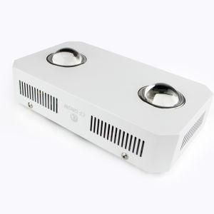 Wholesale 300W Full Spectrum COB LED Grow Light 3500K Grow Light for Indoor Plants