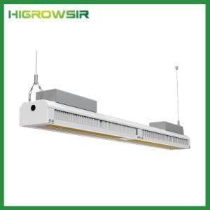 Higrowsir 2.5umol/J 300W High Ppfd LED Grow Light Full Spectrum Hydroponic Plants Grow Light 300W Greenhouse