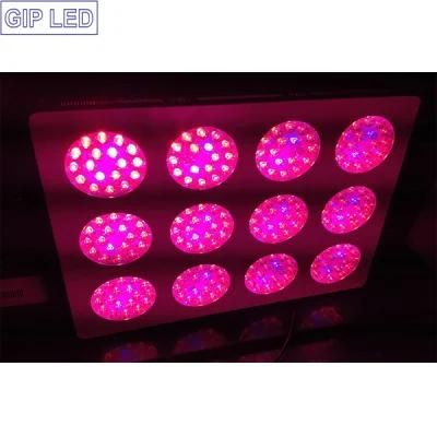 216W~648W Greenhouse Hydroponics Gip12 LED Grow Lights