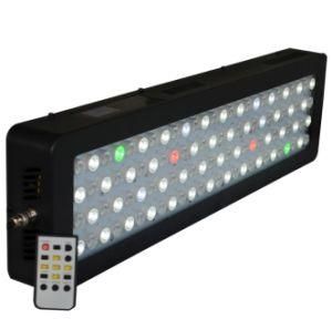 New Design Sunrise Sunset Programmable 300W LED Aquarium Light System Controller Three Different Channel