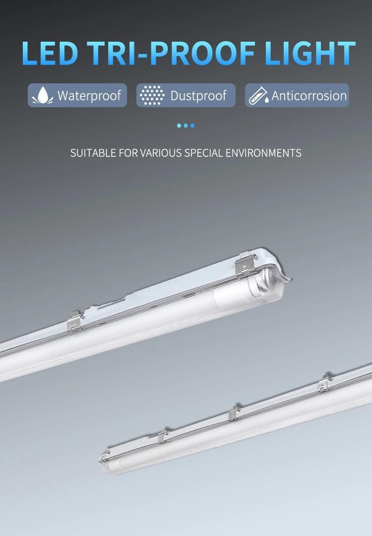 IP65 0.6m LED Industrial Batten Waterproof Tri-Proof Light Shop Light