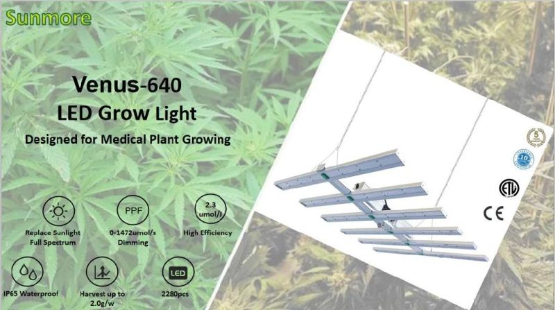 Sunmore 640W High 4FT Grow Tent Flower Flowering Veg Bloom LED Grow Light with Drive (Horticulture Greenhouses)