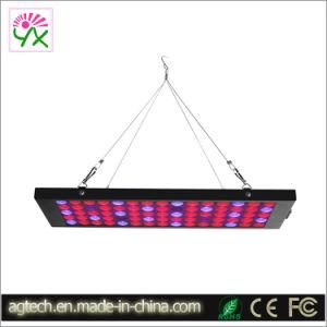 15W LED Grow Light 75 LEDs Full Spectrum Plant Grow Light