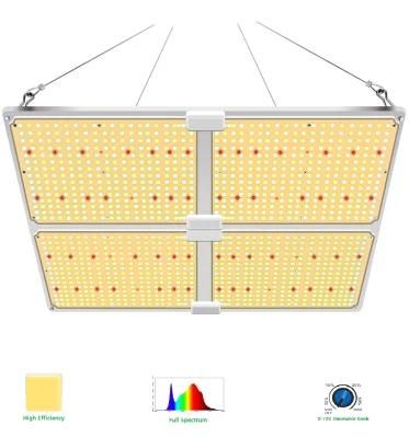 Lm301b V2 Dimmable LED Grow Light Indoor Hydroponics Grow Tent Using LED Panel Light