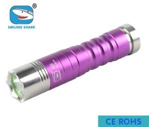 Portable USA Q5 CREE LED Mini Stainless Steel Torch Flashlight
