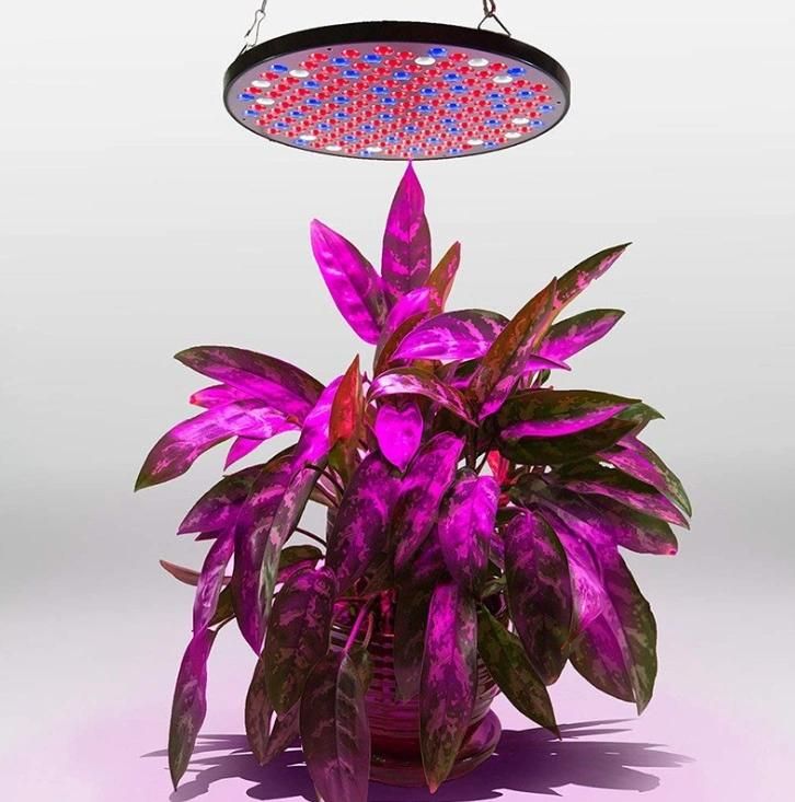 New Full Spectrum Growing System 50W UFO Medical Plants LED Plant Growth Light Agricultural Products Line LED Grow Light