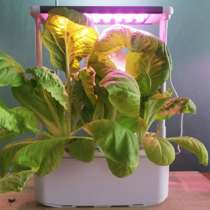Smart Tabletop Hydroponics System Herb Vegetable Indoor Garden Planter Integrated LED PAR Lights LED Grow Light Full Spectrum