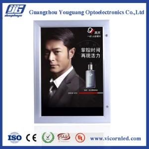Hotsale: Waterproof Outdoor LED Light Box-YGW52
