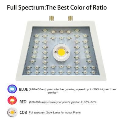 1000W COB LED Grow Light for Indoor Plants