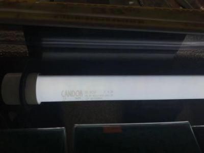 Candor Hi Series with Factoty Price LED 24V Tube Light