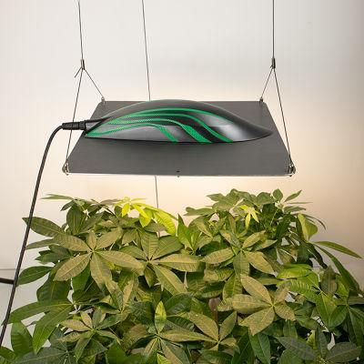 2022 Best Plant Lamp Grow Lights for Indoor Plants Full Spectrum 5 Bars Greenhouse Hydroponic Spider 320W LED Plant Grow Light