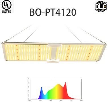 200W UL Certification Bonfire LED Grow Lighting with 3 Years Warranty