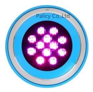 Swimming Pool LED Underwater Light (6003H)