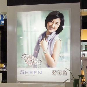 LED Aluminum Frame Shopping Displays