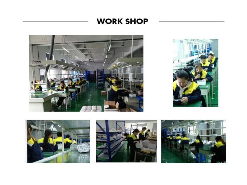 LED Light Waterproof Screw 4D 80V LED 10W Blue Spot Forklift Light LED Work Light
