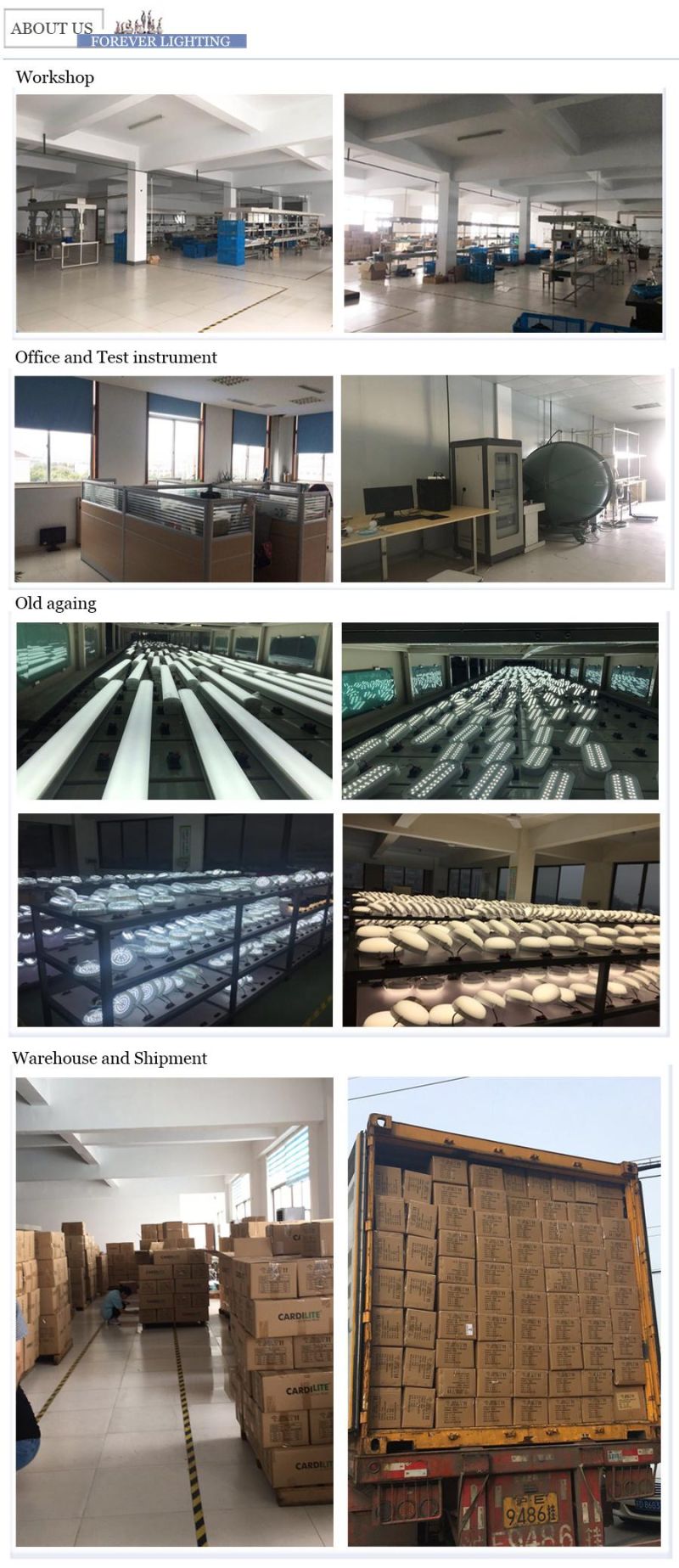 18W 20W 30W IP65 LED Tri Proof Light