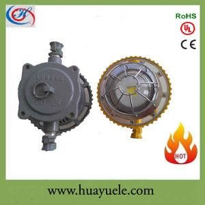 Dgs30-127L, Saleable Explosion Proof Mining Light