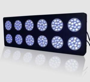Dimmable GS-Al-Znet12 Aquarium Light for Marine Coral Reef Tank