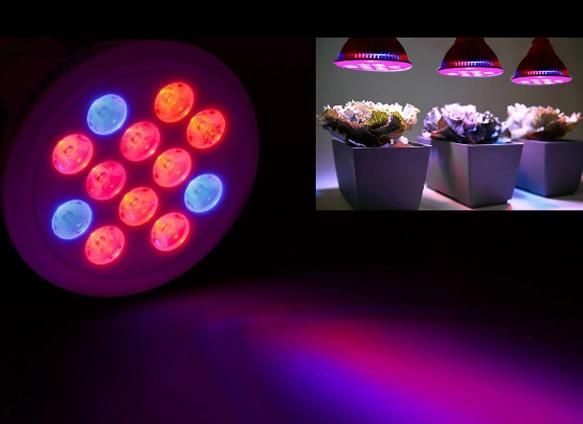 Vegetables/Flowers/Bloom/Hydroponics 12W E27 LED Grow Light