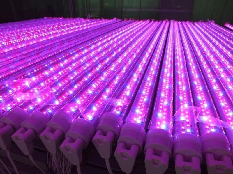 Samsung 2021 Latest High Power Hot Product Greenhouse Plant LED Grow Light Full Spectrum for Indoor Growing