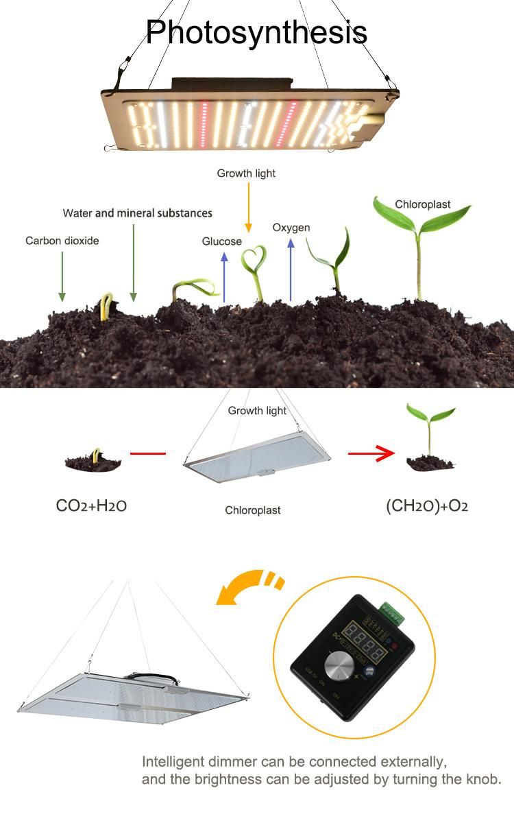 Full Spectrum Hydroponic Waterproof 100W Indoor Plants LED Grow Light