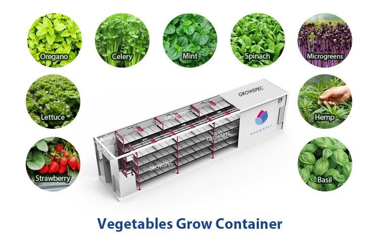 Smart Container Farm Mini Greenhouse
