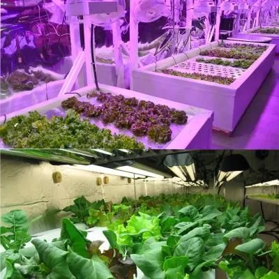 Quality and High Yield LED Plant Grow Light with UL Support