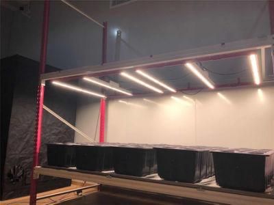 UV &amp; IR Solar Power LED Grow Lights