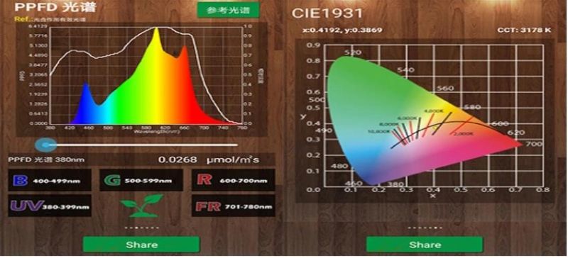 Popular LED Grow Light for Greenhouse