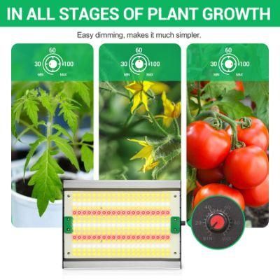 2021 Hot Sale Samsung Lm301h with Red 660nm Quantum LED Grow Light Board with Meanwell Driver