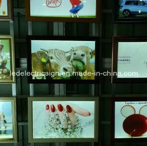 LED Light Box Supplier with Factory