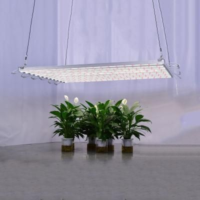 High Quality and High Yield LED Grow Lighting with 2 Years Warranty