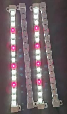 Wholesale Cheap LED Light Strip Full Spectrum LED Grow Light for Greenhouse Garden with CE