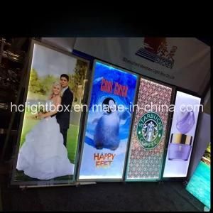 Wall Mount Acrylic Light Box