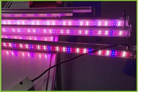 Double-Sided 20W 30W 40W 50W 60W LED Grow Light for Tomato Indoor Hydroponics Lettuce Grown