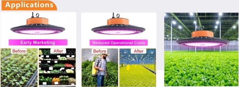 250W Grow Lights Wholesale Hydroponics High Bay LED Grow Lamp for Indoor Plant