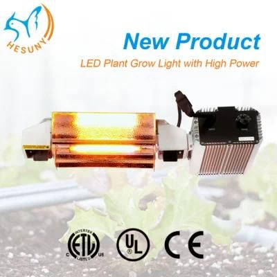 New Design 1000W High Power Lamp LED Grow Light for Indoor Greenhouse Plants