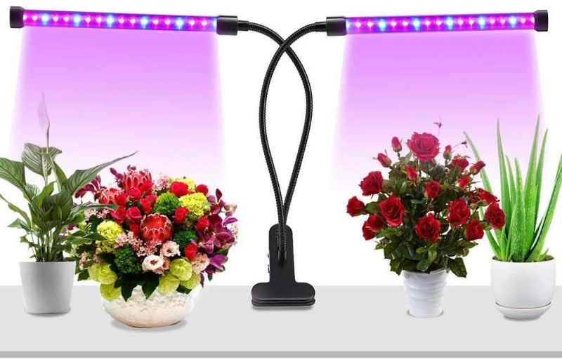 20W LEDs 2 Tube Grow Low Light for Seed Starting with 3/9/12h Timer, 10 Dimmable Levels, 3 Switch Modes, Growing Lamp Suitable for Various Plant