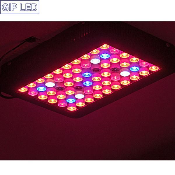 Full Spectrum 300W LED Grow Light for Hydroponic Greenhouse