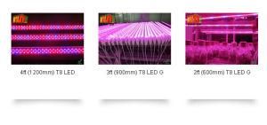 T8 LED Grow Tubes