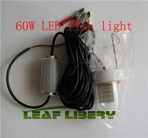 12V-24V 8W 18W 30W 60W Green White Underwater LED Fishing Lights