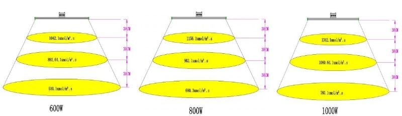 Lumin 600W Dimmable LED Grow Light Offer Different Spectrum at The Different Growth Stages