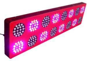 Power 600W Two Switches 3W LED Grow Light Veg Flowering Red Blue Greenhouse