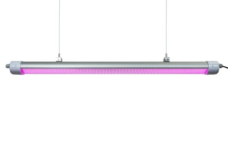 LED Grow Light Pink Spectrum 50W 150W 200W for Hydroponics Plant Light AC220-240V LED Grow Lamp