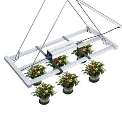 Lm301b Full Spectrum LED Grow Light 320W Indoor Plant Grow Light LED with Daisy Chain